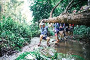 BIB: 
                            <button type="button" onclick="openModal(25467066)" class="btn btn-primary btn-sm float-right btn-popup" data-toggle="modal" data-target=".modal-high-quality">
                        <i class="fas fa-shopping-cart"></i> Add to Cart
                    </button>
                                            <button type="button" onclick="isThisMe(25467066, true)" class="btn btn-success btn-sm float-right btn-popup btn-isme hidden" data-toggle="tooltip" data-placement="bottom" title="นี่คือรูปของคุณใช่ไหม คลิกที่นี่เพื่อเอาเข้าอัลบั้ม">
                        <i class="fas fa-plus"></i> Add to album
                    </button>
                    <button type="button" onclick="isThisMe(25467066, false)" class="btn btn-warning btn-sm float-right btn-popup btn-isnotme hidden">
                        <i class="fas fa-ban"></i> Remove from album
                    </button>